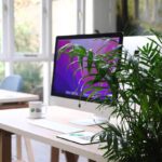 Biophilia – Inviting Nature Indoors